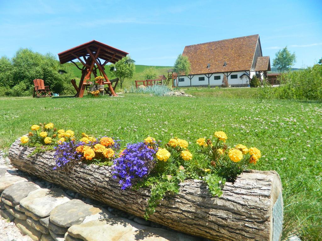 Pensiunea Violeta Saschiz Exteriör bild