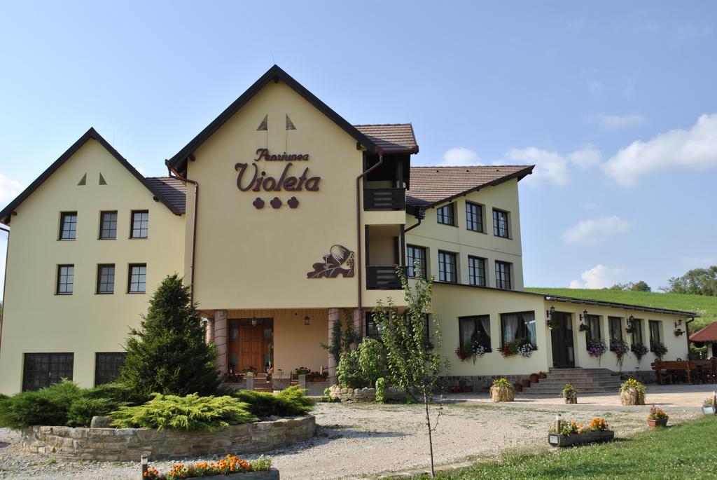 Pensiunea Violeta Saschiz Exteriör bild