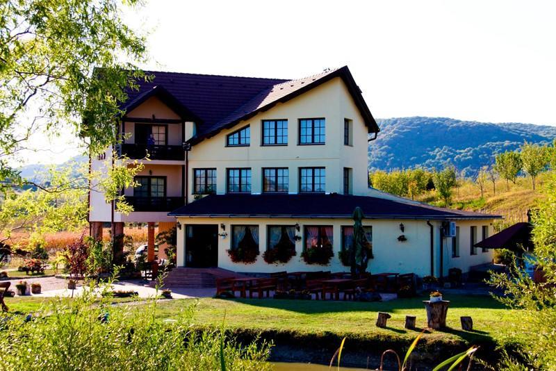Pensiunea Violeta Saschiz Exteriör bild